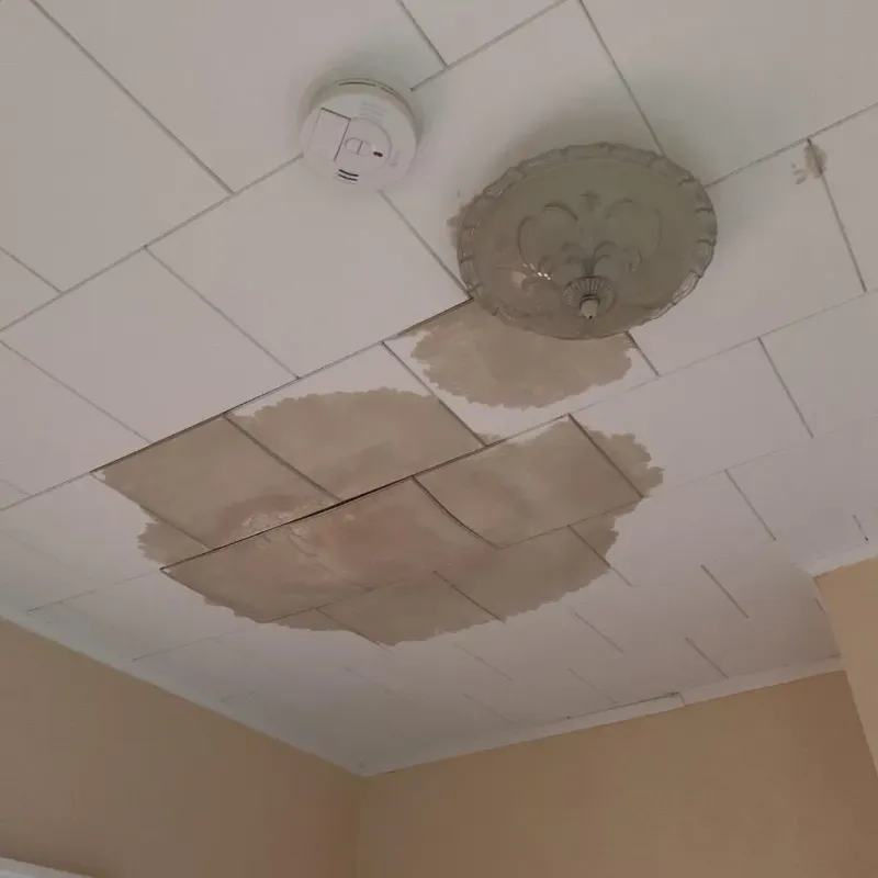 Ceiling Water Damage Repair in Stonington, ME