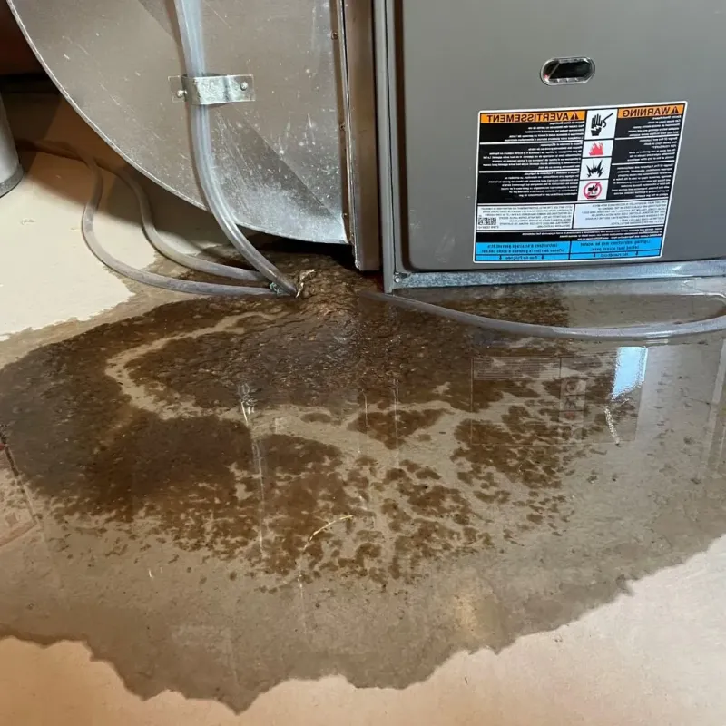 Pipe Burst and Leak Restoration in Stonington, ME